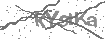 visual captcha